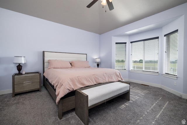 933 S 250 W, Vernal, UT 84078 - bedroom featuring carpet flooring and a ceiling fan
