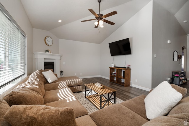 933 S 250 W, Vernal, UT 84078 - living area with wood finished floors, vaulted ceiling, ceiling fan, a glass covered fireplace, and recessed lighting