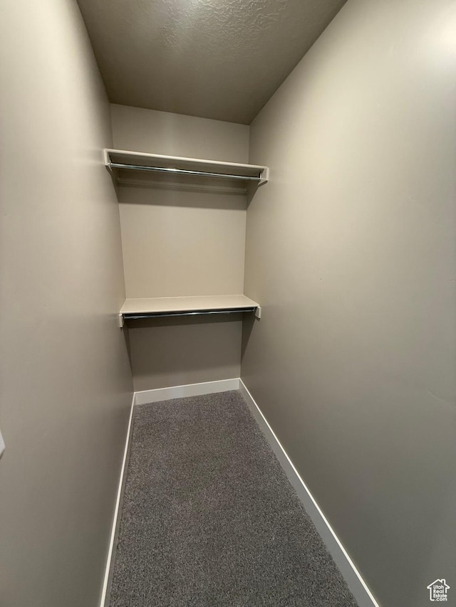 482 N 460 E Lot 6, Salem, UT 84653 - walk in closet featuring carpet flooring