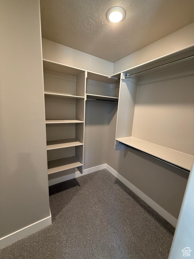 482 N 460 E Lot 6, Salem, UT 84653 - spacious closet featuring dark colored carpet