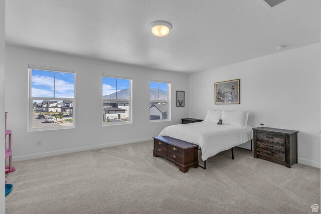 3410 S Pinyon Park Ln, Mapleton, UT 84664