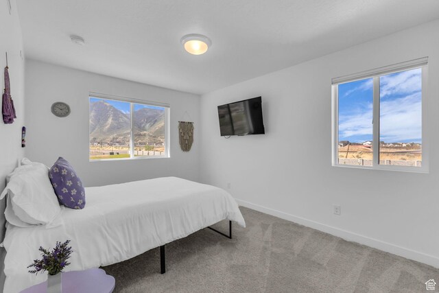 3410 S Pinyon Park Ln, Mapleton, UT 84664