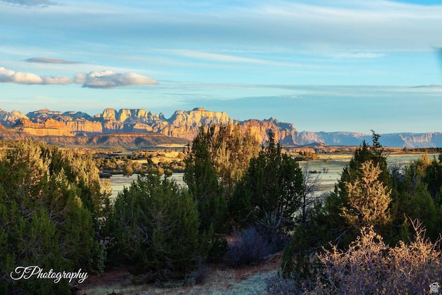 4907 N Mesa Rd, Virgin, UT 84779 - photo 33