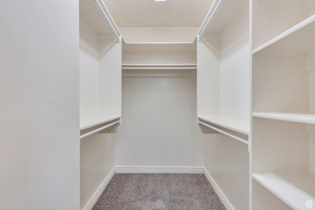 1158 W 150 S, Springville, UT 84663 - spacious closet featuring carpet flooring