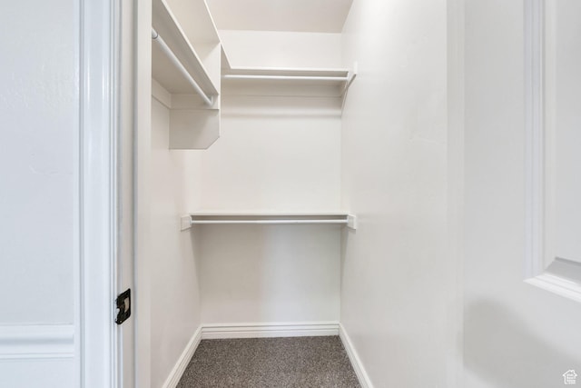 1158 W 150 S, Springville, UT 84663 - spacious closet with carpet floors