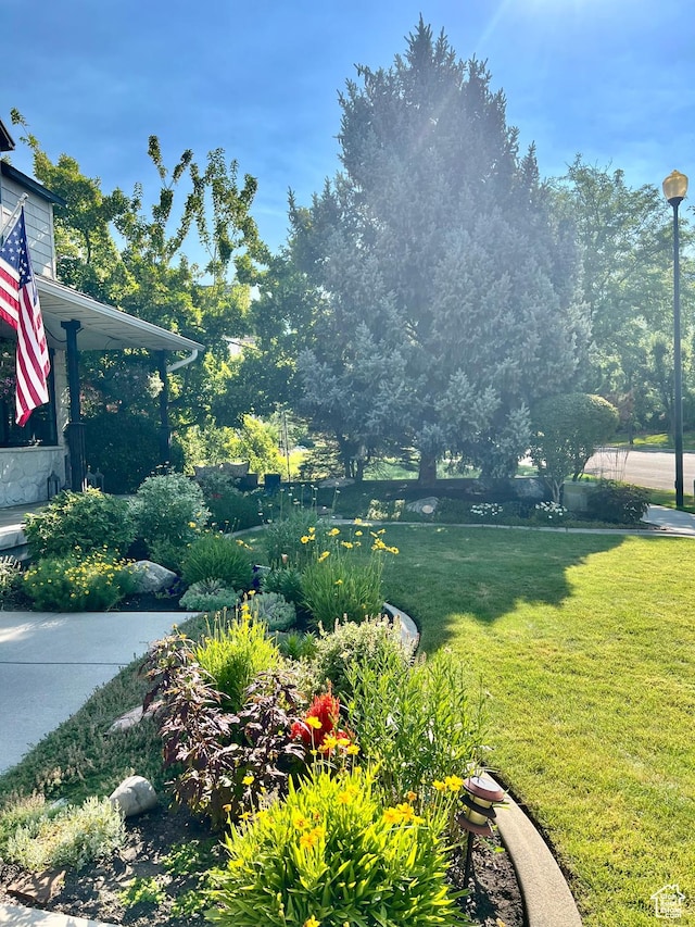 2487 E Willow Hills Dr, Sandy, UT 84093 - photo 3