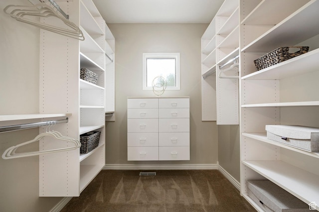 999 S Fairway Cir, Fruit Heights, UT 84037 - spacious closet with dark carpet