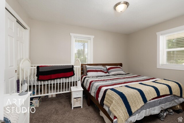 45 N 900 W, Provo, UT 84601 - bedroom featuring carpet and a closet