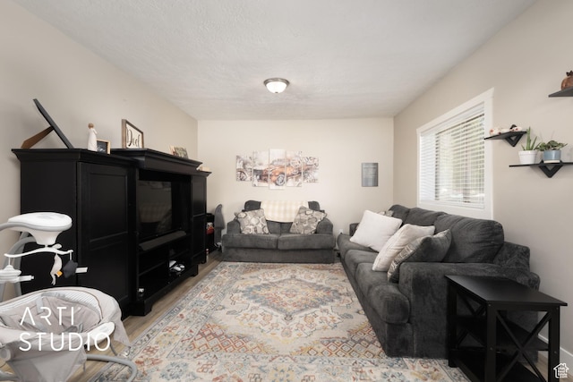 45 N 900 W, Provo, UT 84601 - living area featuring light wood-type flooring