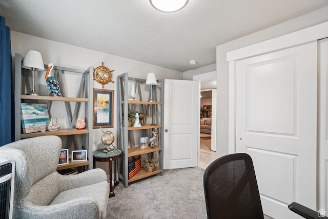 287 S Hayes Well Ln, Saratoga Springs, UT 84045 - carpeted office with a textured ceiling