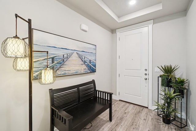 287 S Hayes Well Ln, Saratoga Springs, UT 84045 - foyer with light wood-type flooring, a tray ceiling, and recessed lighting