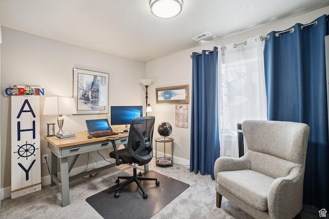 287 S Hayes Well Ln, Saratoga Springs, UT 84045 - office featuring carpet floors and baseboards