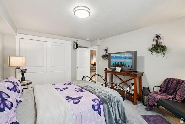 287 S Hayes Well Ln, Saratoga Springs, UT 84045 - carpeted bedroom with a closet