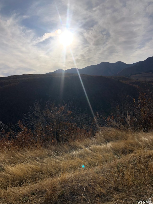 13 N Happy Hollow Dr Unit 13, Springville, UT 84663