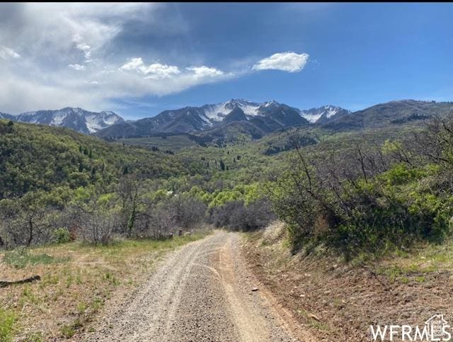 13 N Happy Hollow Dr Unit 13, Springville, UT 84663