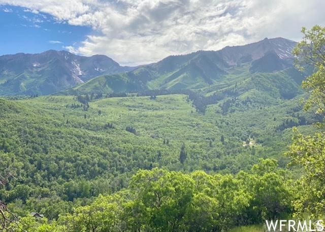 13 N Happy Hollow Dr Unit 13, Springville, UT 84663