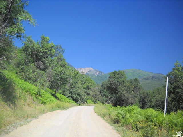 13 N Happy Hollow Dr Unit 13, Springville, UT 84663