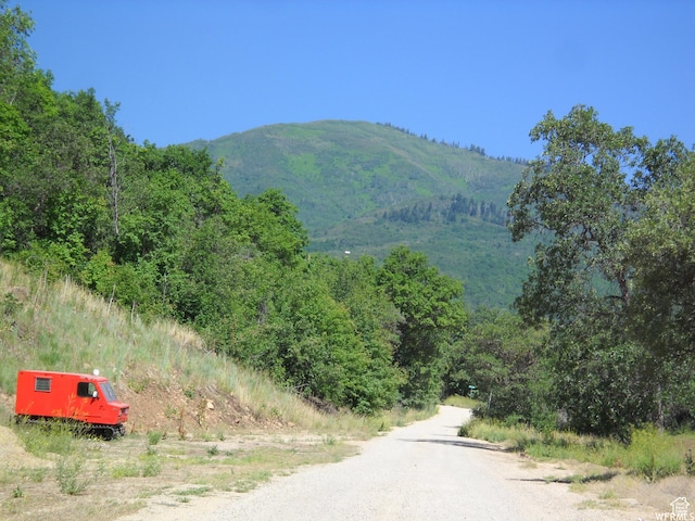 13 N Happy Hollow Dr Unit 13, Springville, UT 84663