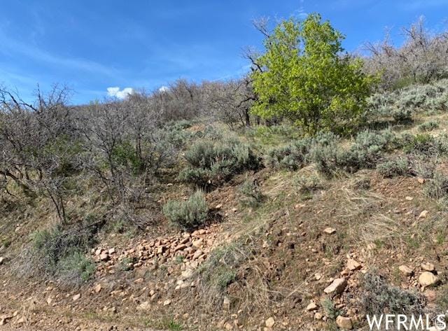 13 N Happy Hollow Dr Unit 13, Springville, UT 84663