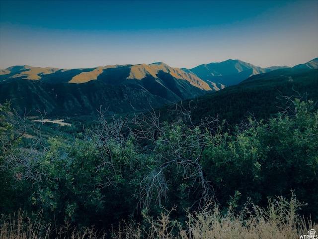 13 N Happy Hollow Dr Unit 13, Springville, UT 84663