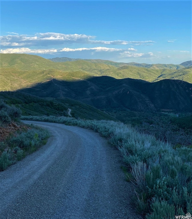 13 N Happy Hollow Dr Unit 13, Springville, UT 84663