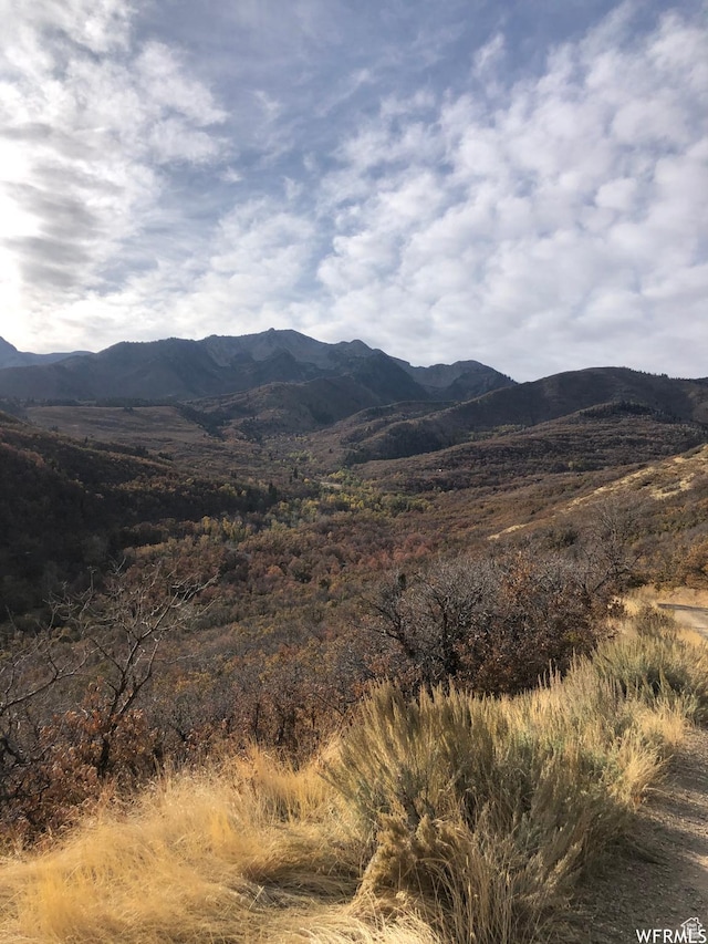 13 N Happy Hollow Dr Unit 13, Springville, UT 84663