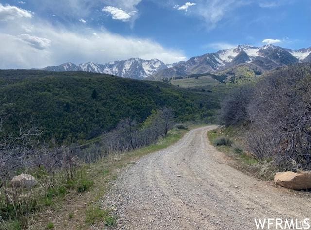 13 N Happy Hollow Dr Unit 13, Springville, UT 84663
