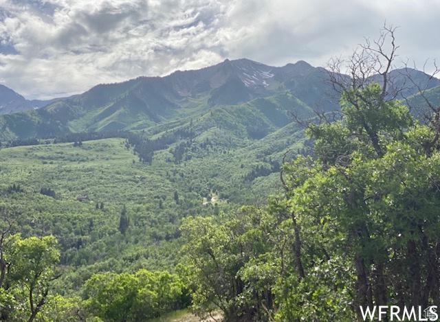 13 N Happy Hollow Dr Unit 13, Springville, UT 84663