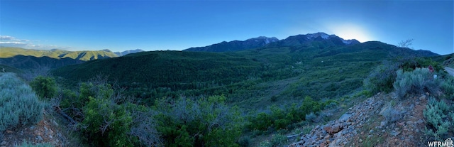 13 N Happy Hollow Dr Unit 13, Springville, UT 84663