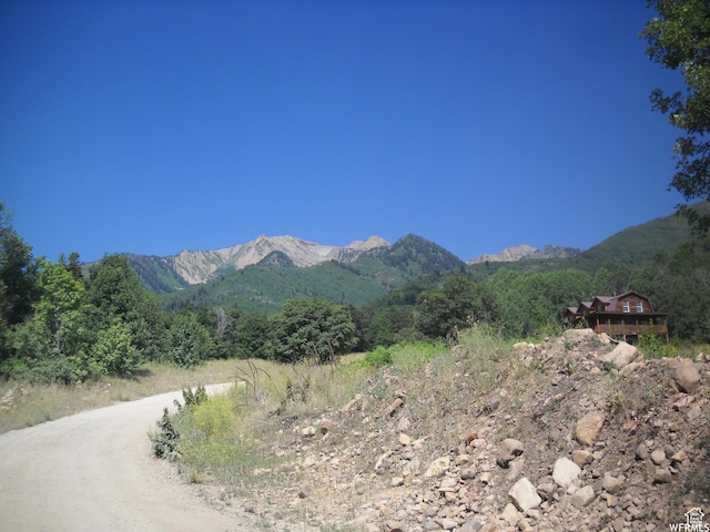 13 N Happy Hollow Dr Unit 13, Springville, UT 84663