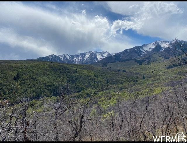 13 N Happy Hollow Dr Unit 13, Springville, UT 84663