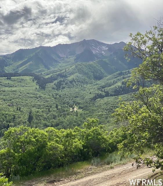 13 N Happy Hollow Dr Unit 13, Springville, UT 84663