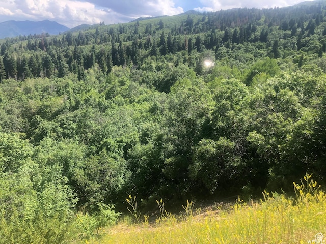 13 N Happy Hollow Dr Unit 13, Springville, UT 84663