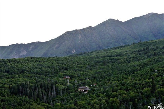 13 N Happy Hollow Dr Unit 13, Springville, UT 84663