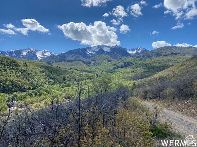 13 N Happy Hollow Dr Unit 13, Springville, UT 84663