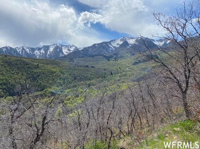 13 N Happy Hollow Dr Unit 13, Springville, UT 84663