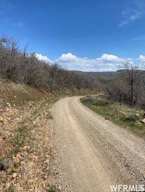 13 N Happy Hollow Dr Unit 13, Springville, UT 84663