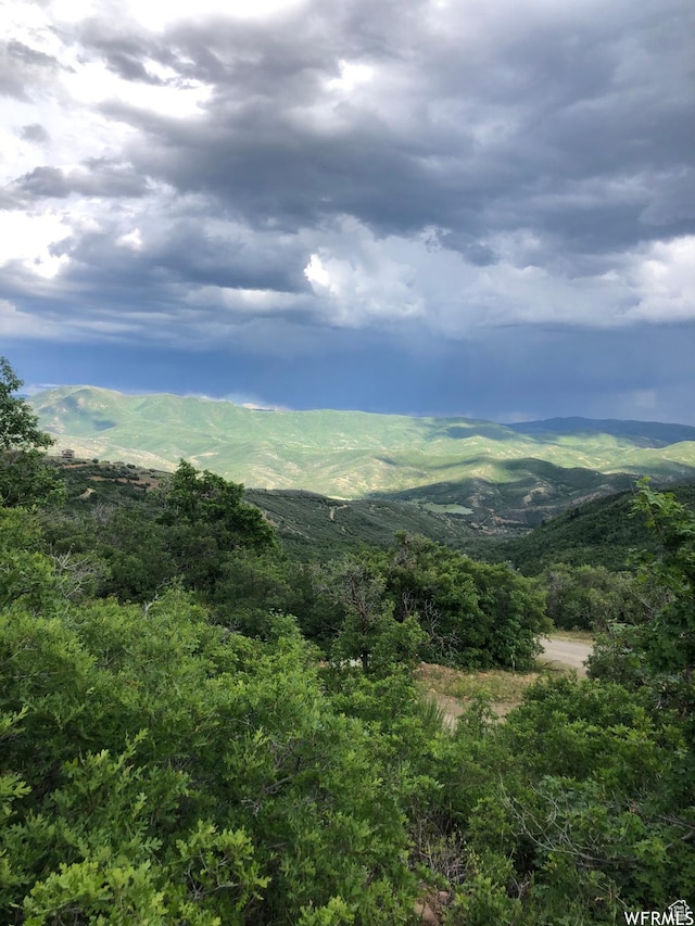 13 N Happy Hollow Dr Unit 13, Springville, UT 84663