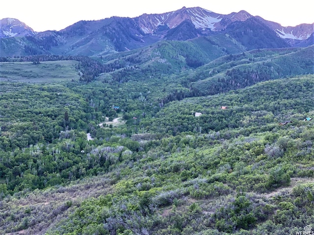 13 N Happy Hollow Dr Unit 13, Springville, UT 84663