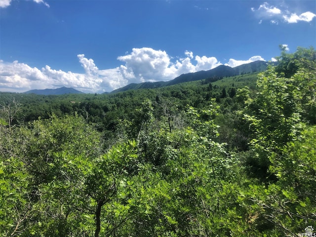13 N Happy Hollow Dr Unit 13, Springville, UT 84663