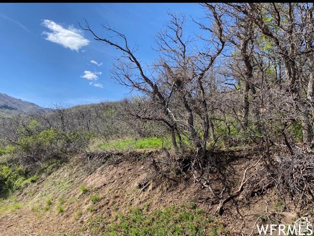 13 N Happy Hollow Dr Unit 13, Springville, UT 84663