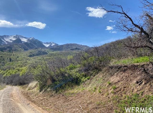 13 N Happy Hollow Dr Unit 13, Springville, UT 84663