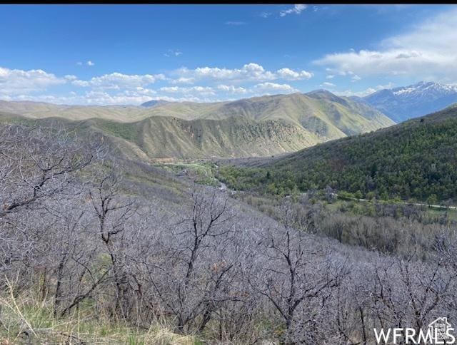 13 N Happy Hollow Dr Unit 13, Springville, UT 84663