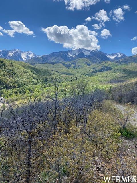 13 N Happy Hollow Dr Unit 13, Springville, UT 84663