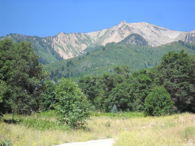 13 N Happy Hollow Dr Unit 13, Springville, UT 84663