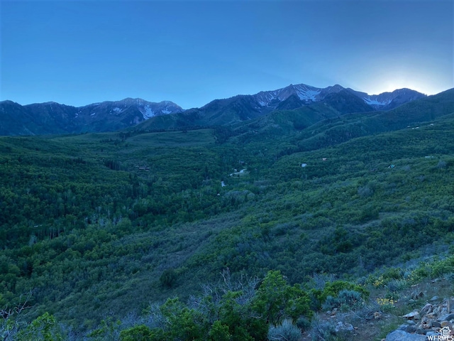 13 N Happy Hollow Dr Unit 13, Springville, UT 84663