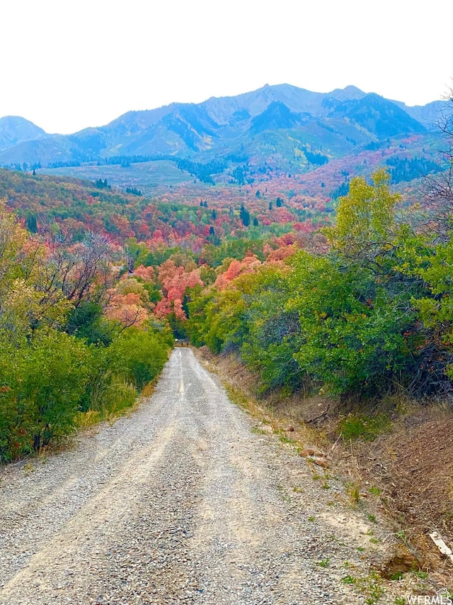 13 N Happy Hollow Dr Unit 13, Springville, UT 84663