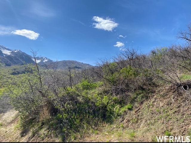 13 N Happy Hollow Dr Unit 13, Springville, UT 84663