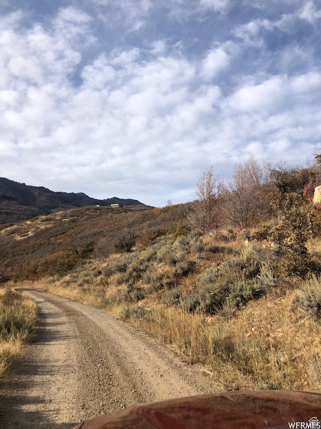 13 N Happy Hollow Dr Unit 13, Springville, UT 84663