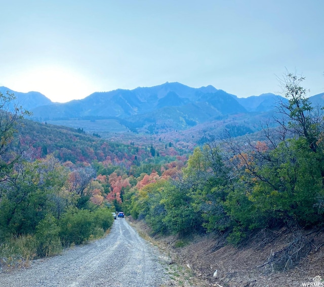 13 N Happy Hollow Dr Unit 13, Springville, UT 84663